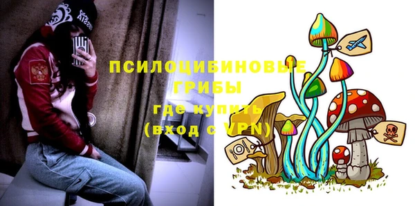 спиды Абаза